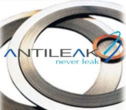 Spiral Wound Gasket with outer ring